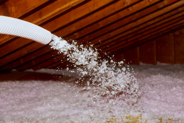 Best DIY Insulation Kits and Guidance in Lafayette, OR